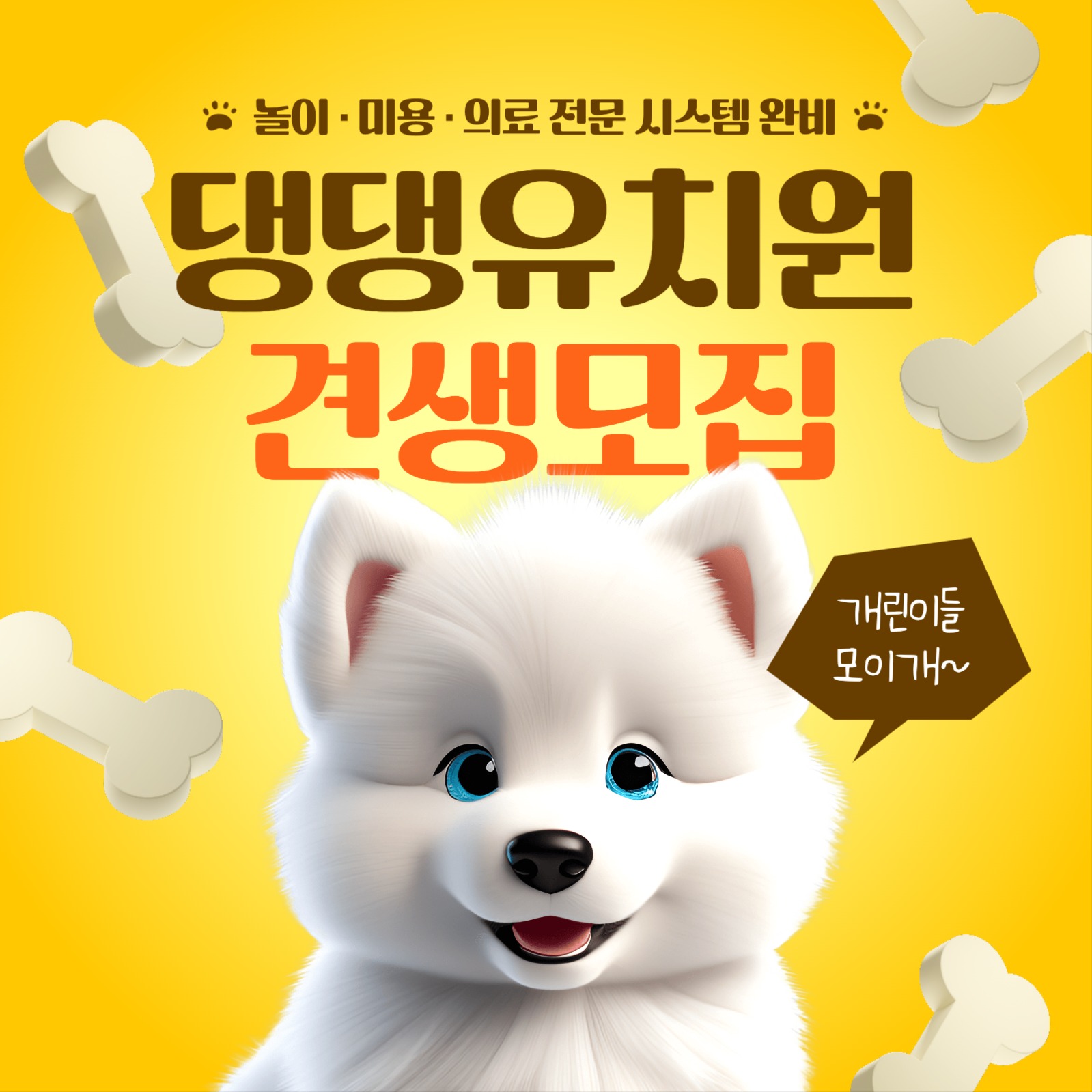 강아지 유치원 모집