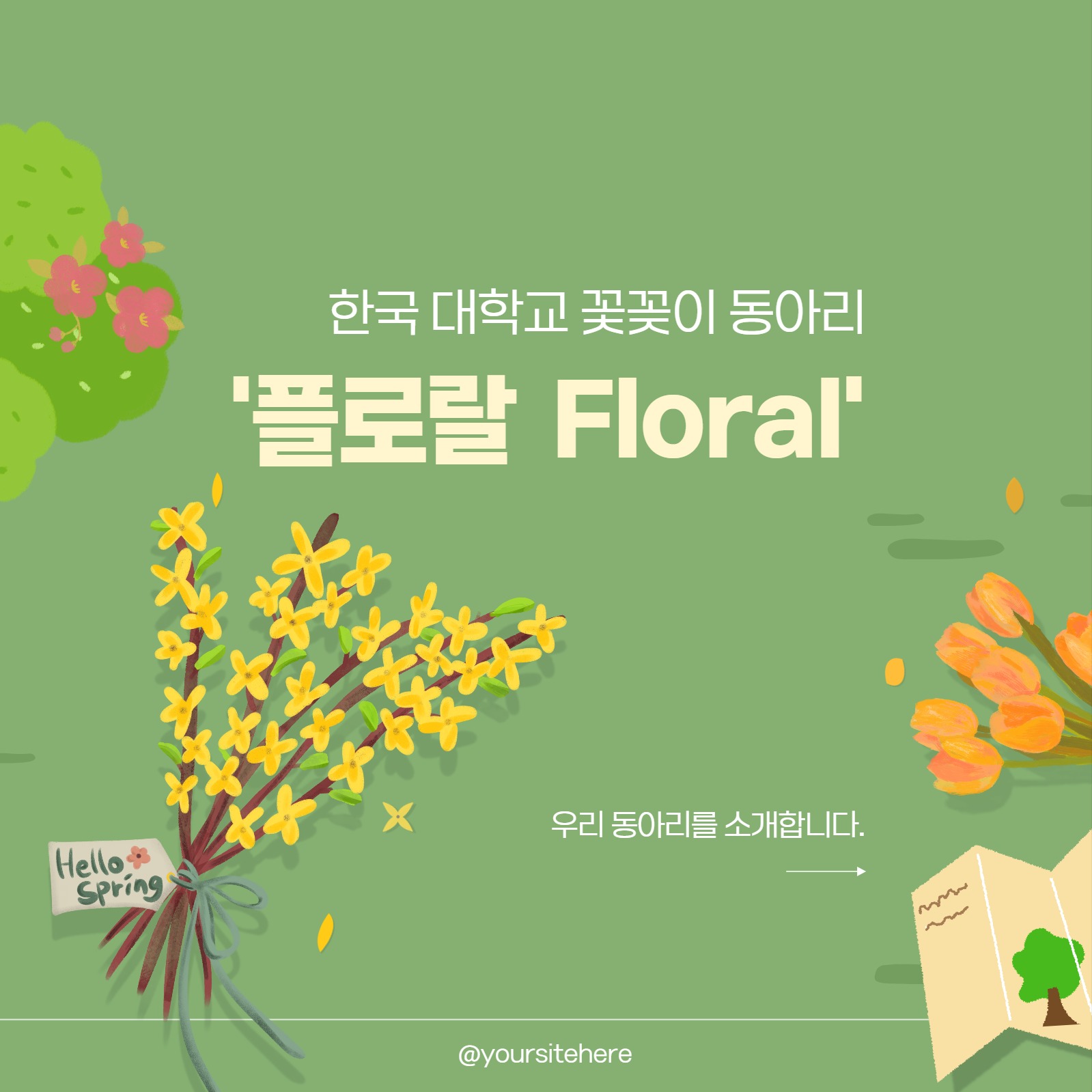 동아리 소개서 카드뉴스