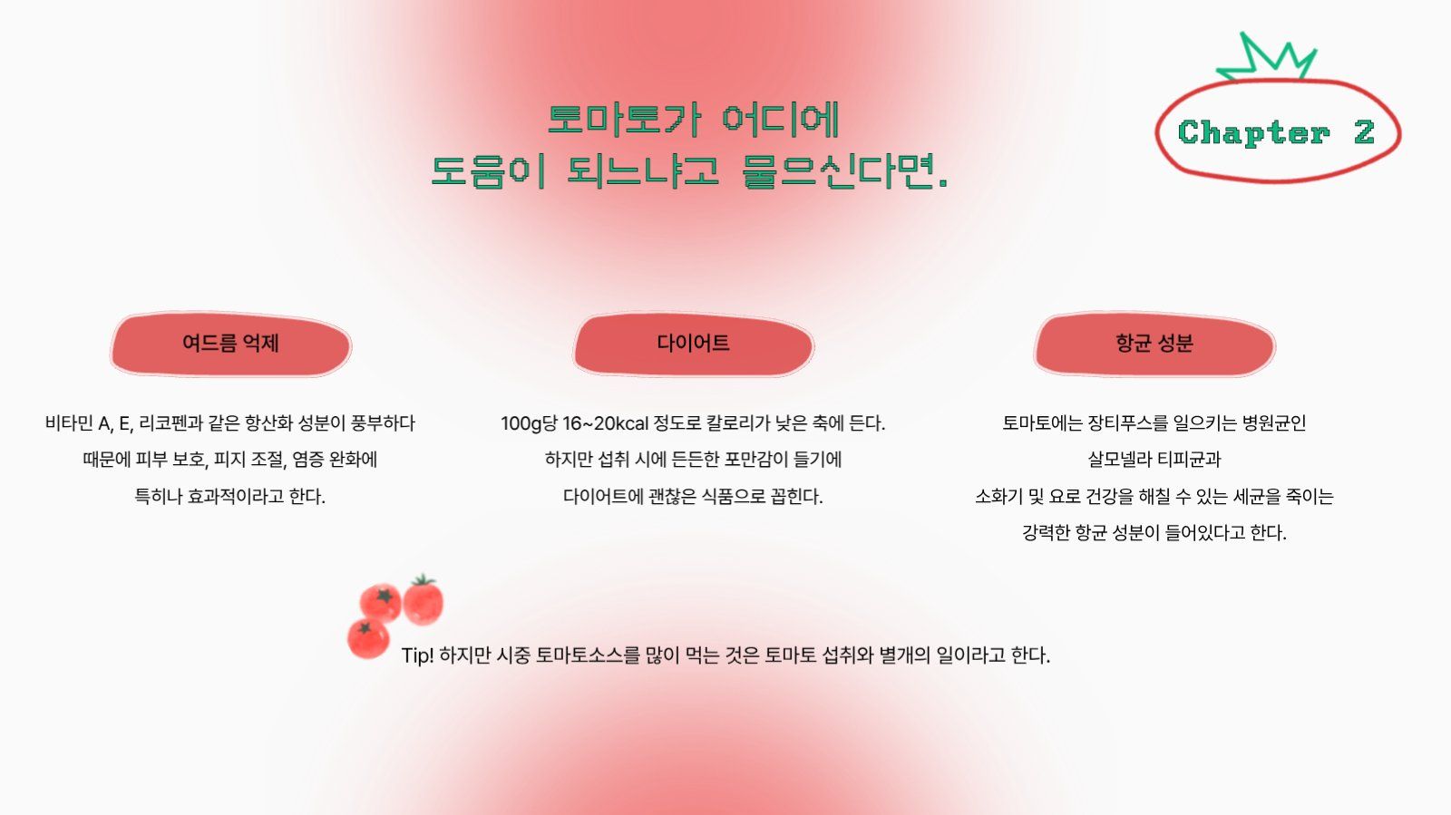 멋쟁이토마토 프레젠테이션