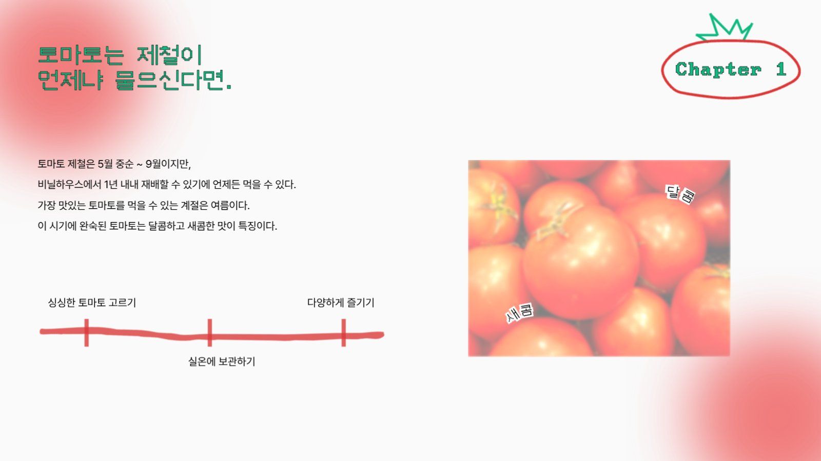 멋쟁이토마토 프레젠테이션